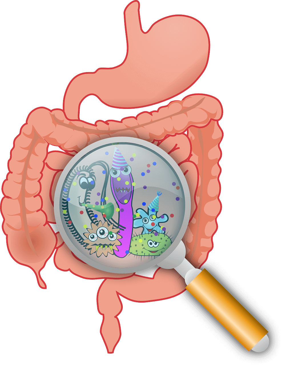 Aký vek má váš metabolizmus? Určí vám to metabolický verk a merania.