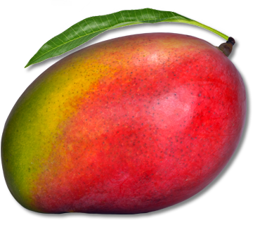 Mango radíme medzi najzdravšie potraviny na svete.